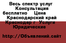 Весь спектр услуг. Консультация бесплатно  › Цена ­ 1 000 - Краснодарский край, Краснодар г. Услуги » Юридические   